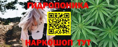 герыч Гатчина