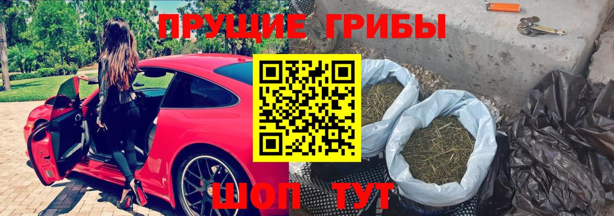 Псилоцибиновые грибы GOLDEN TEACHER Наро-Фоминск